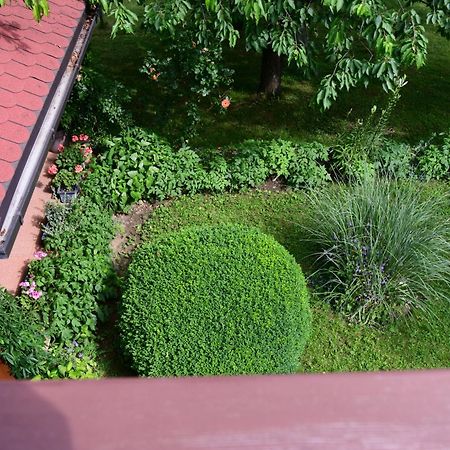 Apartment And Rooms Ivancica เซลิสเต เดรซิสโก ภายนอก รูปภาพ