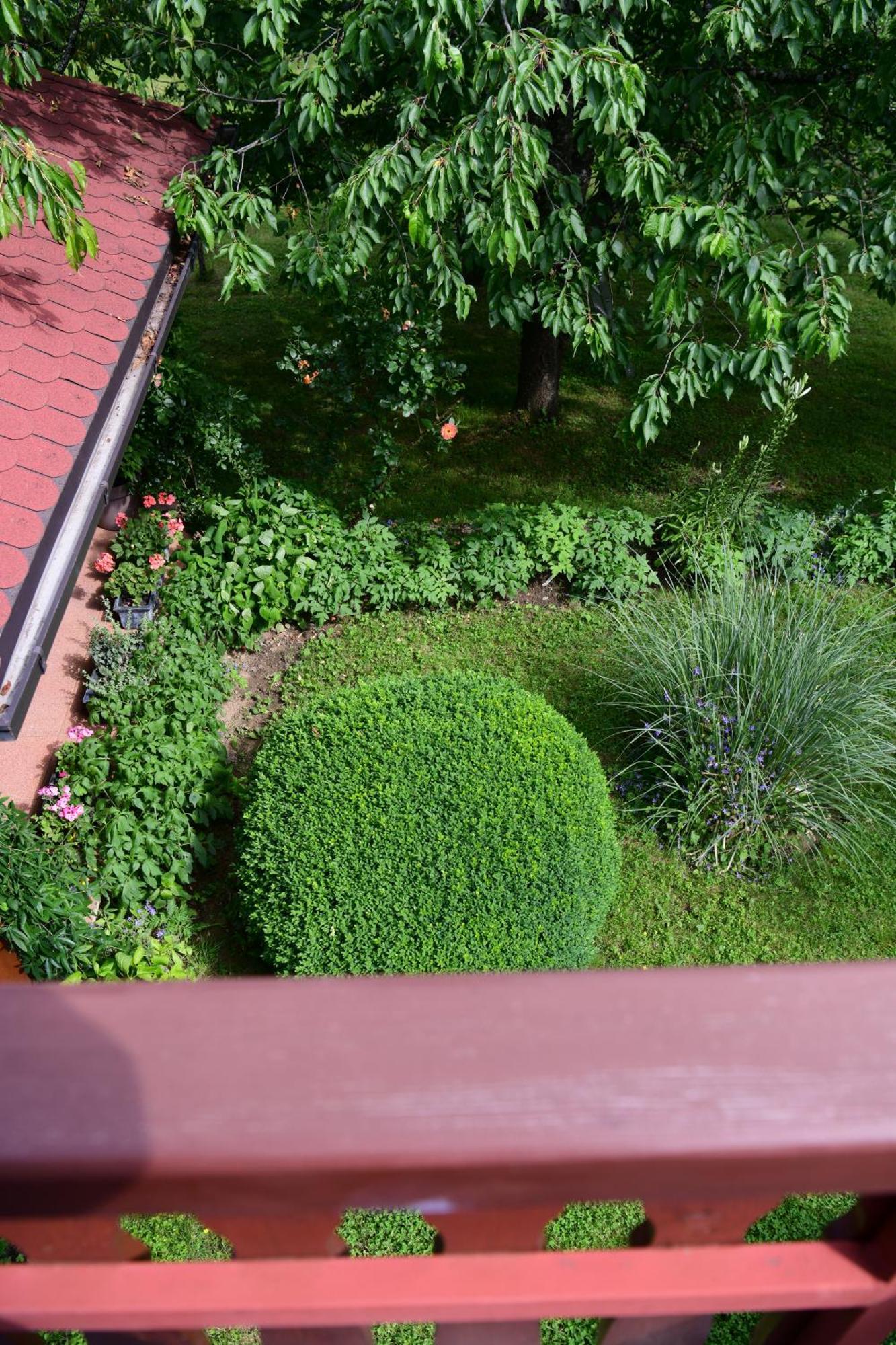 Apartment And Rooms Ivancica เซลิสเต เดรซิสโก ภายนอก รูปภาพ